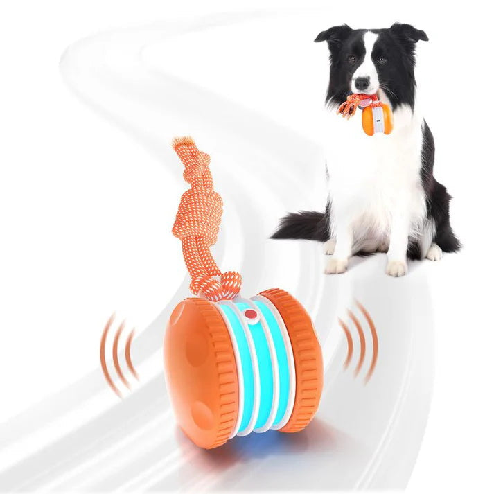 🐶busyball-interactive-dog-bal-Keep Your Pet Relaxed, Happy & Content for Cat🐱 & Dog🐶