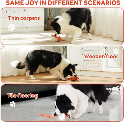 🐶busyball-interactive-dog-bal-Keep Your Pet Relaxed, Happy & Content for Cat🐱 & Dog🐶