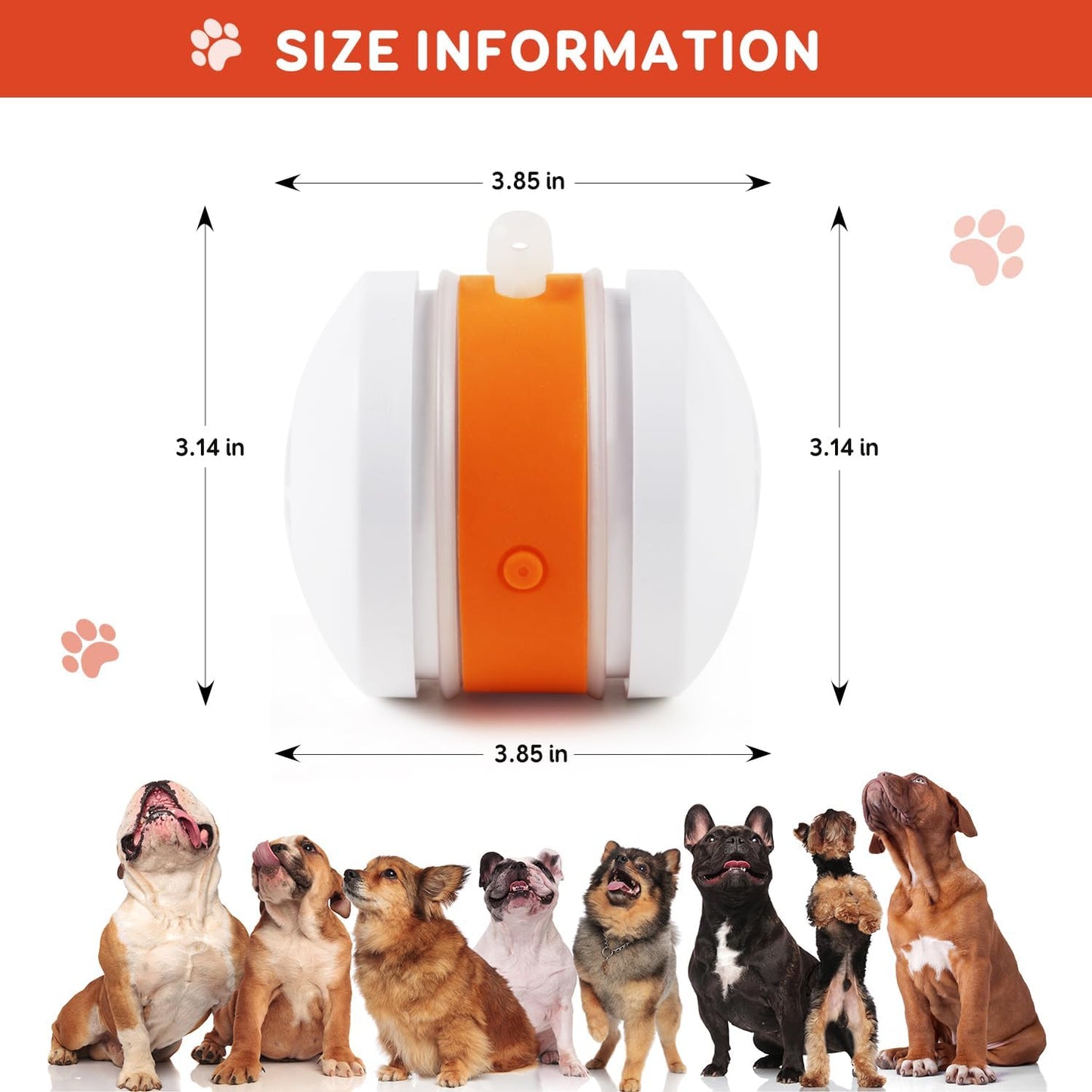 🐶busyball-interactive-dog-bal-Keep Your Pet Relaxed, Happy & Content for Cat🐱 & Dog🐶