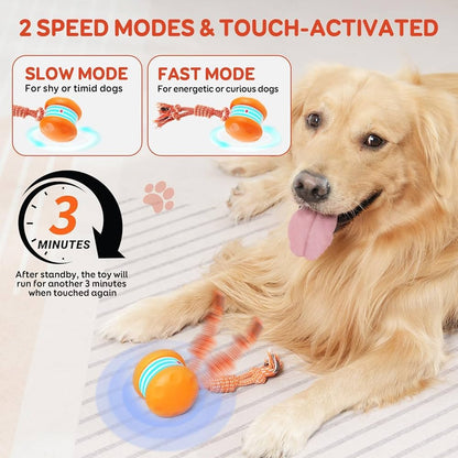 🐶busyball-interactive-dog-bal-Keep Your Pet Relaxed, Happy & Content for Cat🐱 & Dog🐶