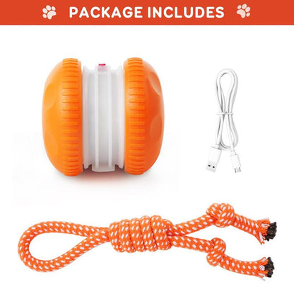 🐶busyball-interactive-dog-bal-Keep Your Pet Relaxed, Happy & Content for Cat🐱 & Dog🐶