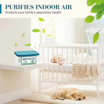 🔥2026 New & Upgraded -- Indoor Air Purification Dust Removal Magic Box🏠